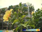 Apartments Barbados 02