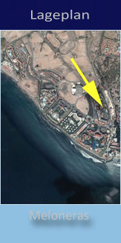 Lopesan Baobab Resort, Lage des Gay friendly Hotel in Playa del Ingles